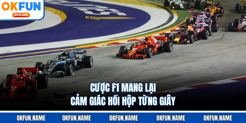 Cược F1 mang lại cảm giác hồi hộp từng giây